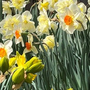 Meet your Posher, Haneen